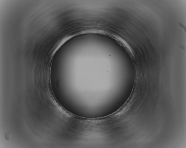 X0000092030860200709061349