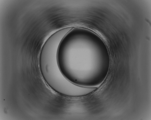 X0000092030862200709061349
