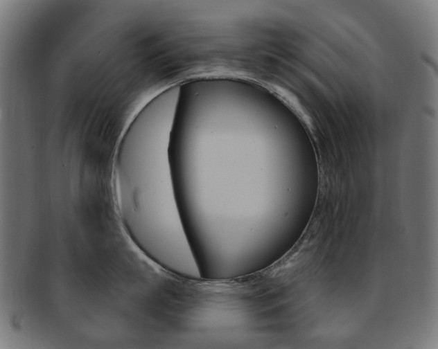 X0000092030863200709061349