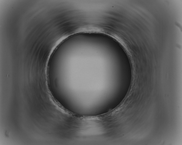 X0000092030864200709061349