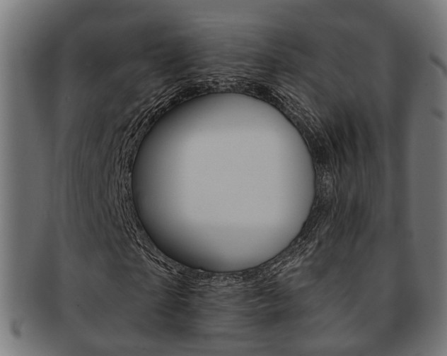X0000092030865200709061349