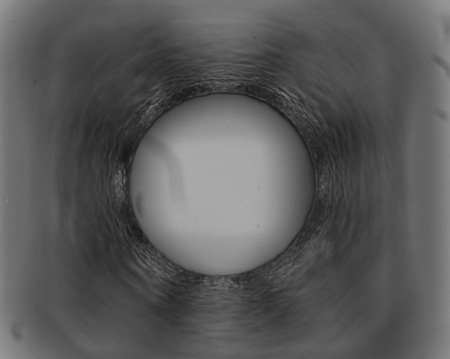 X0000092030866200709061349