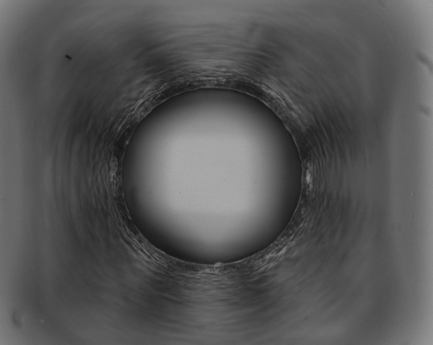 X0000092030867200709061349