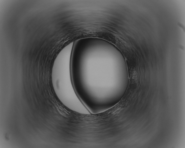 X0000092030868200709061349