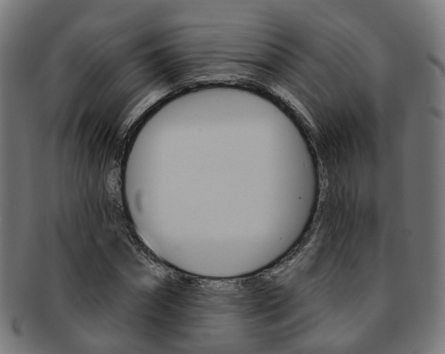 X0000092030874200709061349