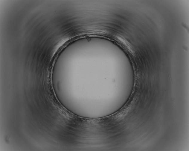 X0000092030875200709061349