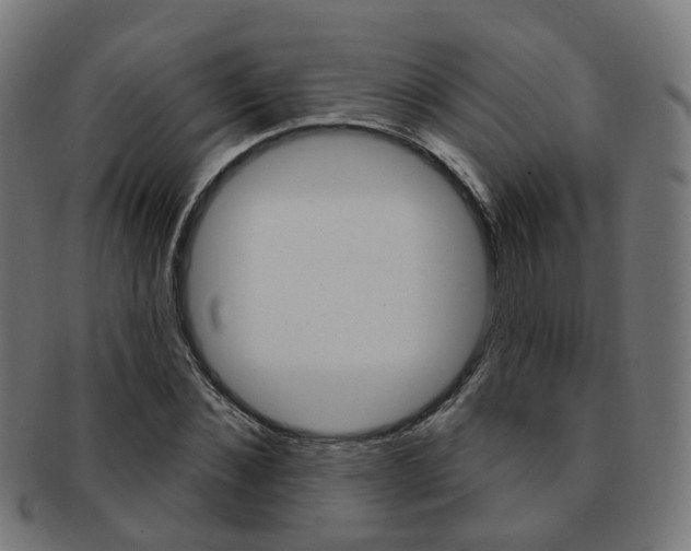 X0000092030876200709061349