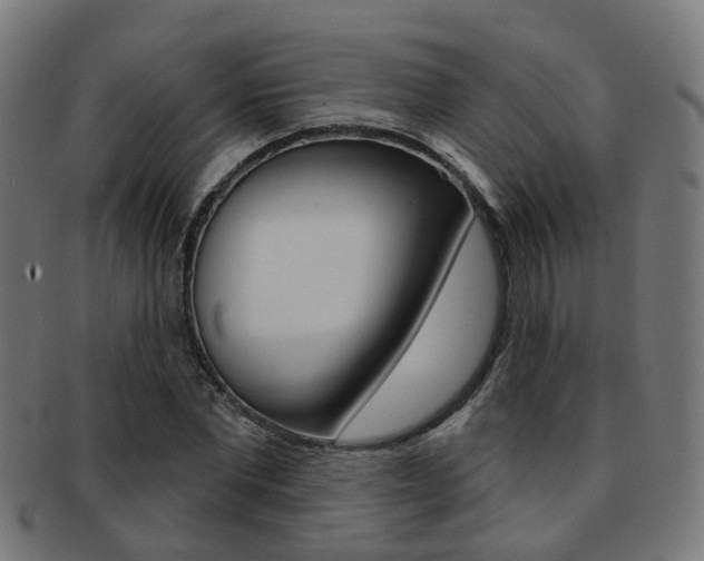 X0000092030877200709061349