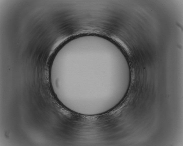 X0000092030878200709061349