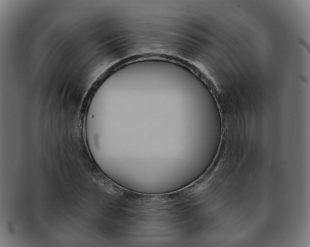 X0000092030879200709061349