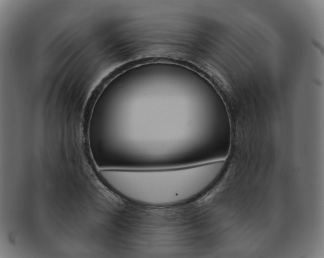 X0000092030880200709061349