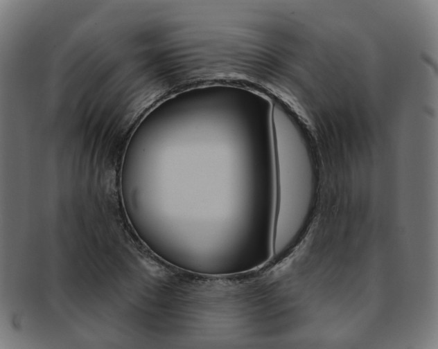 X0000092030881200709061349