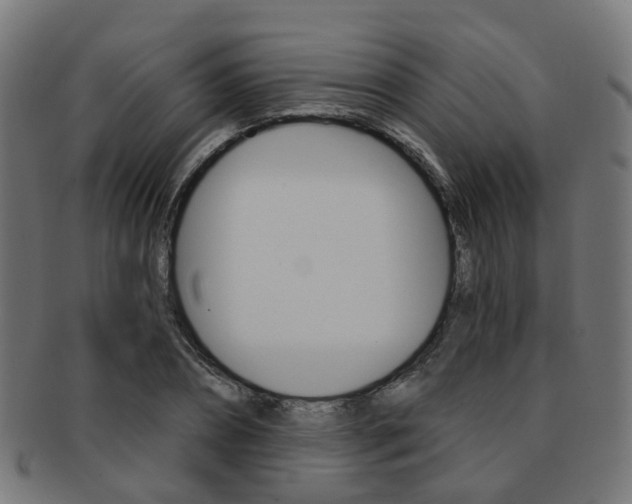 X0000092030882200709061349