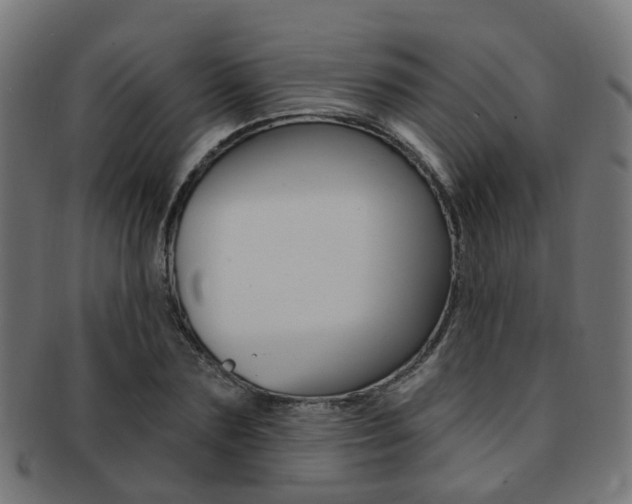 X0000092030883200709061349