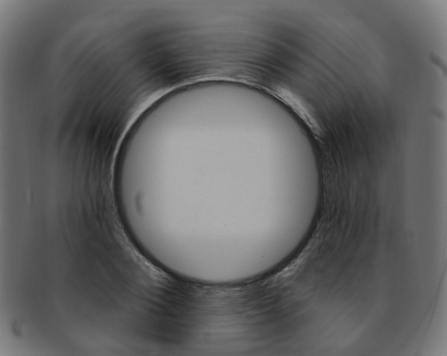 X0000092030884200709061348