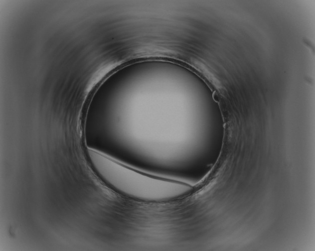 X0000092030885200709061348