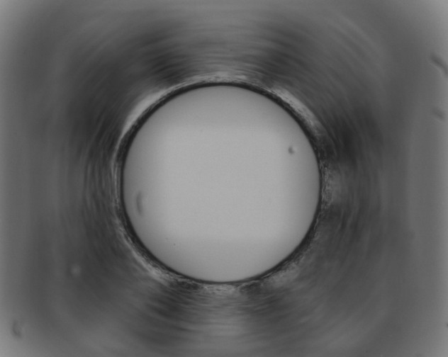 X0000092030886200709061348