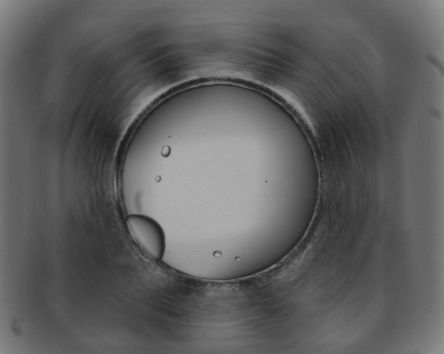 X0000092030887200709061348