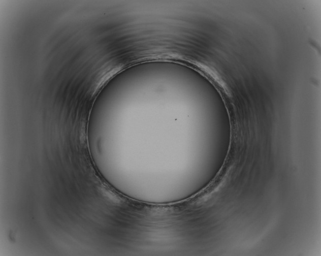 X0000092030889200709061348