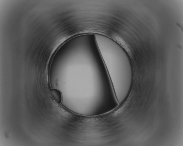 X0000092030892200709061348