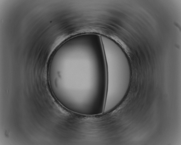 X0000092030894200709061348