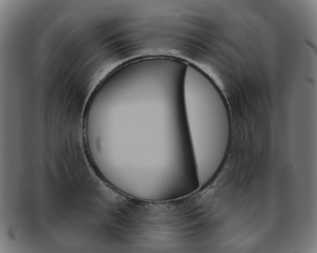 X0000092030895200709061348
