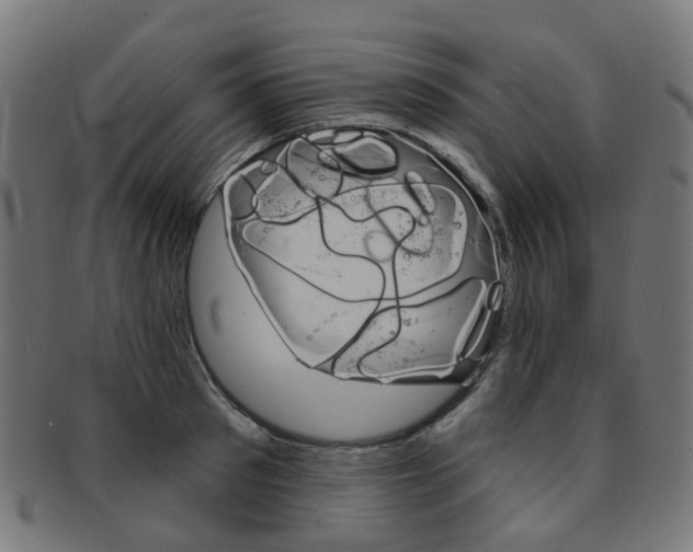 X0000092030897200709061348