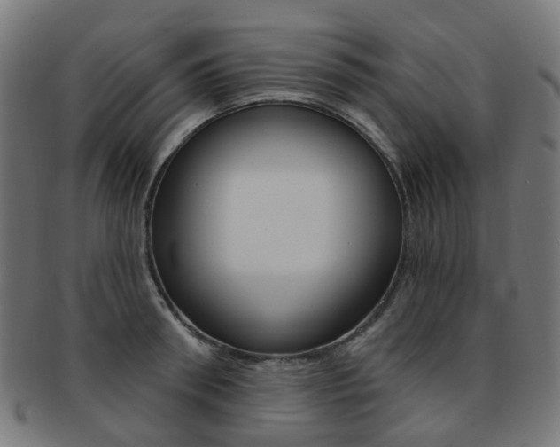 X0000092030898200709061348
