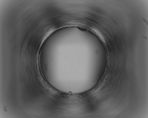 X0000092030899200709061348