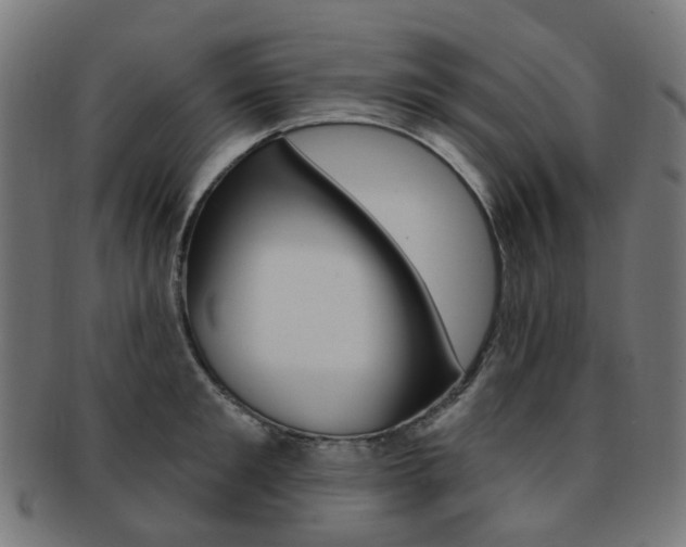 X0000092030901200709061348