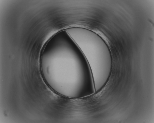 X0000092030902200709061348