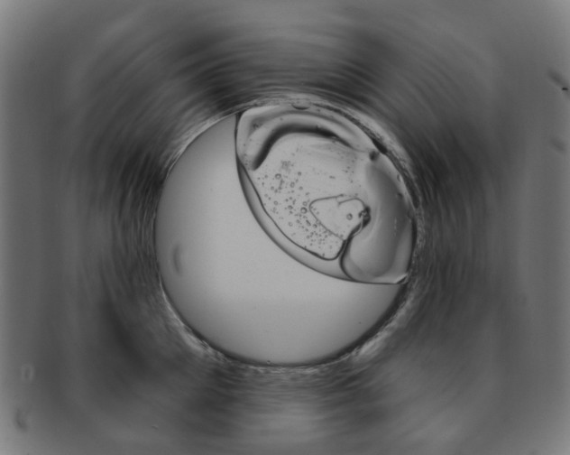X0000092030905200709061348
