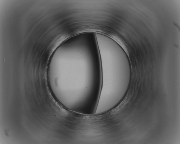 X0000092030906200709061348