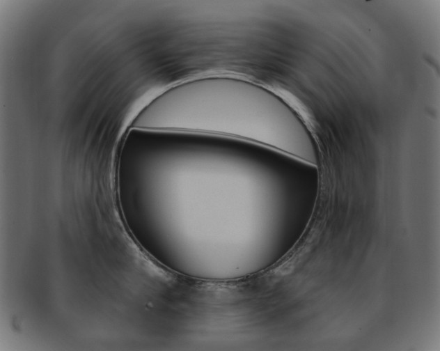 X0000092030910200709061348
