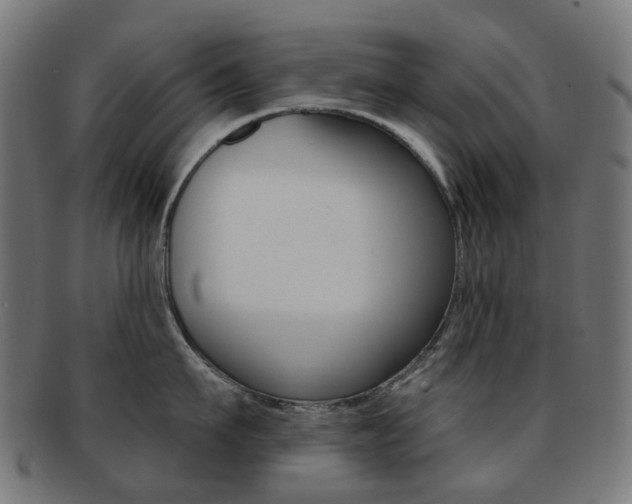 X0000092030911200709061348