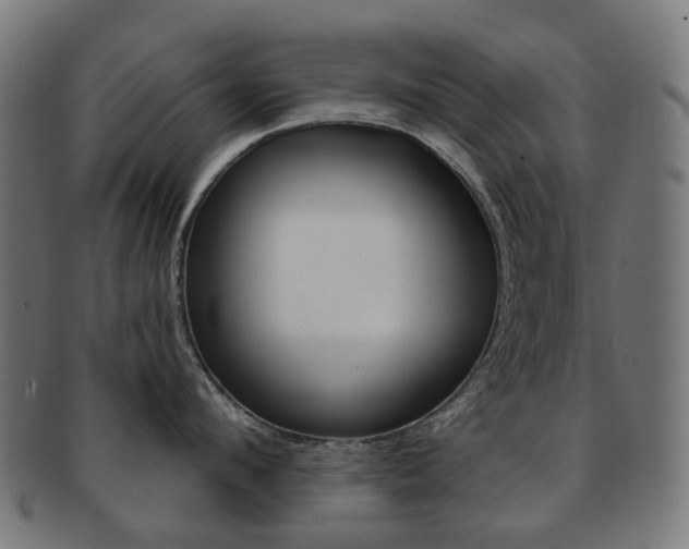 X0000092030912200709061348