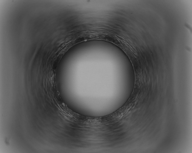 X0000092030914200709061348