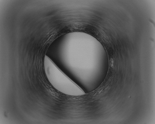 X0000092030915200709061348