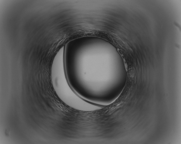 X0000092030916200709061348