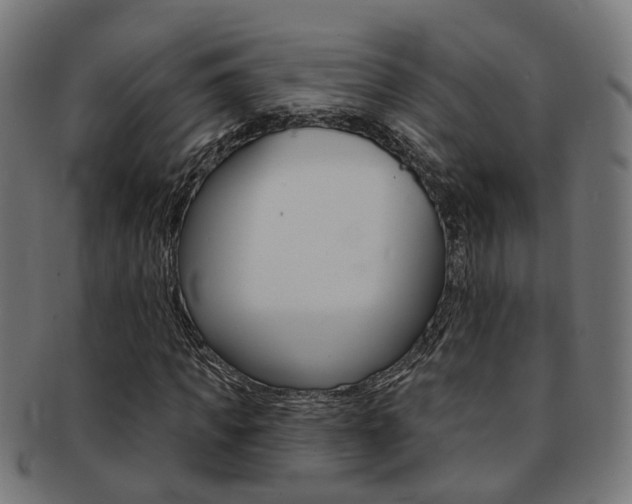 X0000092030917200709061348