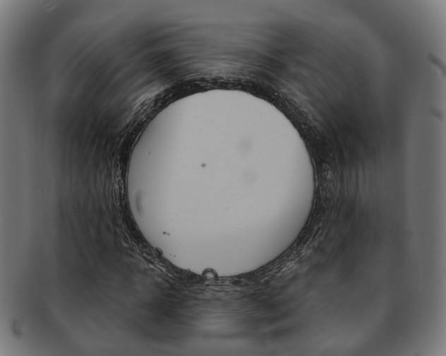 X0000092030918200709061348