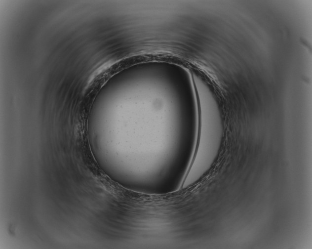 X0000092030920200709061348