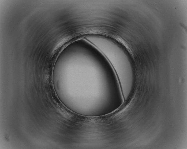 X0000092030922200709061348