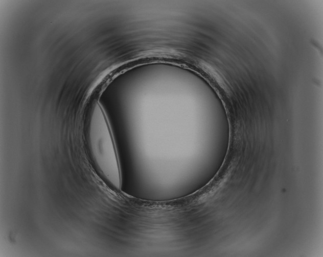 X0000092030923200709061348
