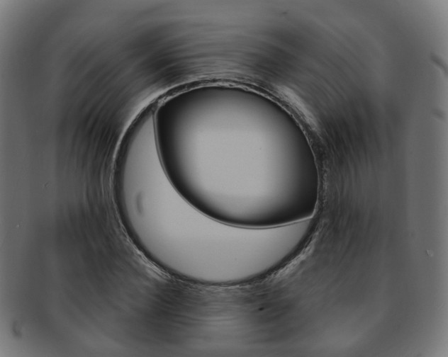 X0000092030924200709061348