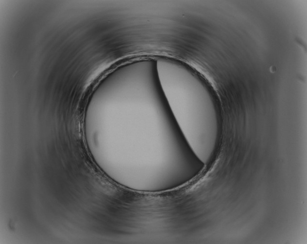 X0000092030925200709061348