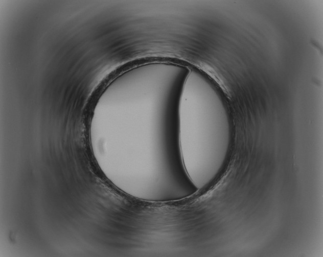 X0000092030926200709061348