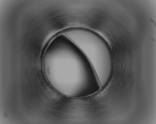 X0000092030927200709061348