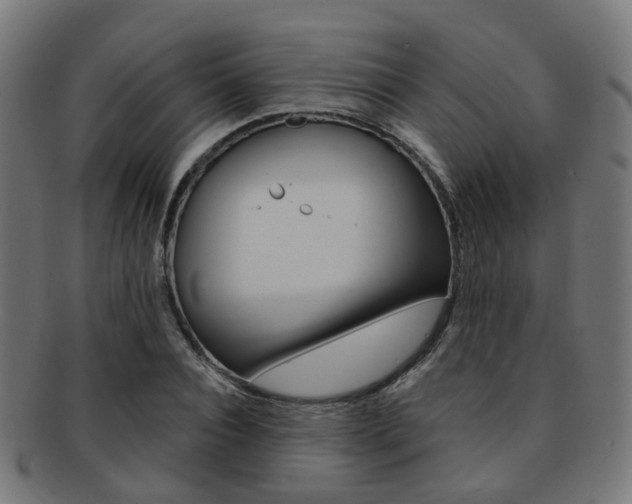 X0000092030928200709061348