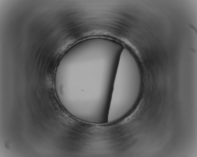 X0000092030929200709061348